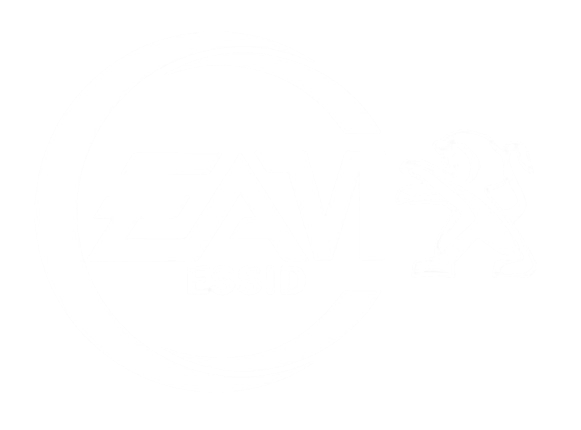 ESSID Pieces Auto
